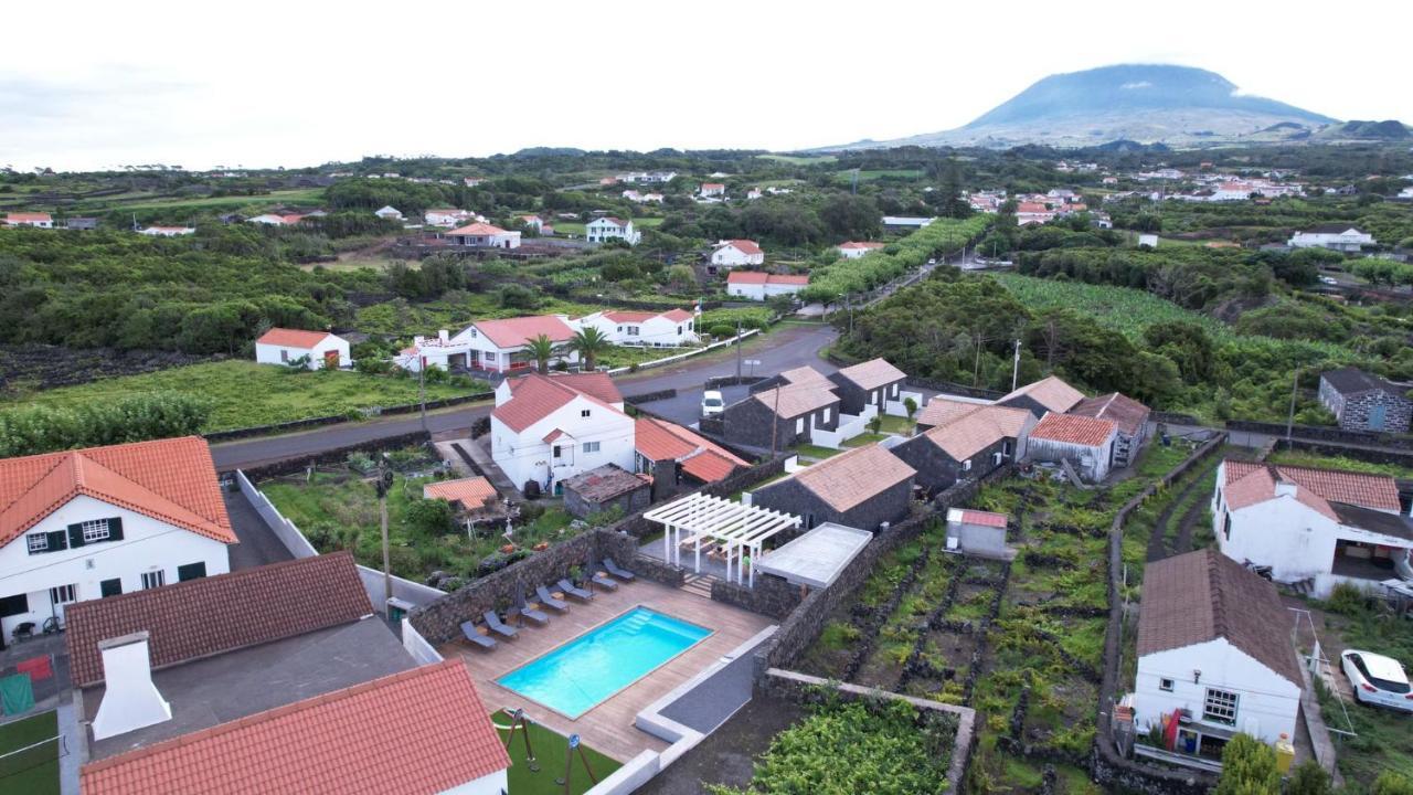 As Casas Da Vinha Vila Criacao Velha Exterior foto