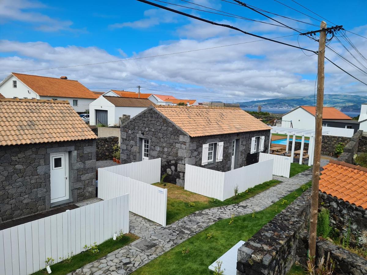 As Casas Da Vinha Vila Criacao Velha Exterior foto