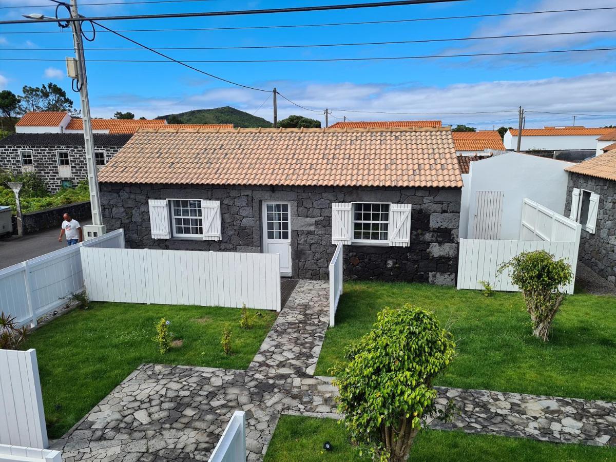 As Casas Da Vinha Vila Criacao Velha Exterior foto